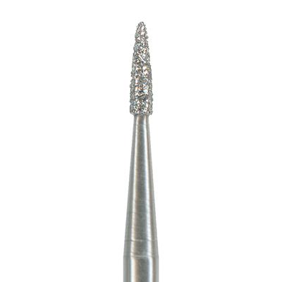 NTI Diamond F889-010 FG Pk/5  (Flame)