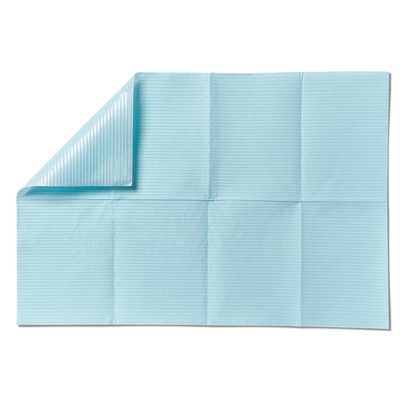 Alliance Dental Bib 13" x 19" 2-Ply Paper With 1-Ply Poly, Blue, 500/Case