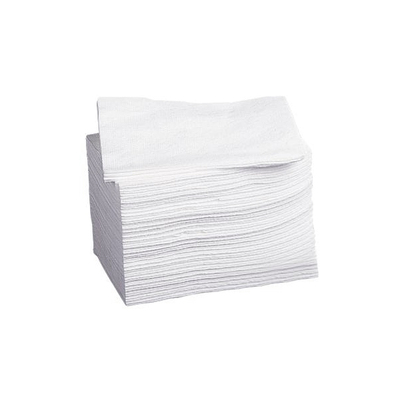 Deluxe Dry Wipe 10" x 12.5" Disposable Cs/500