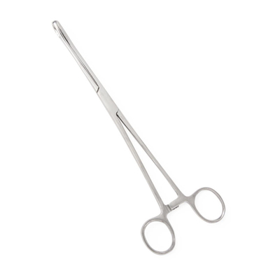 Forceps Foerster Sponge 9.5" Serrated Straight Disposable