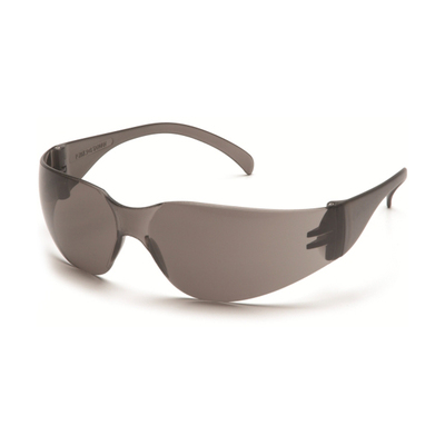 Glasses Intruder Gray Frame w/ Gray Lens